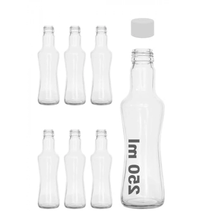 250 ml Kapasiteye Sahip Şeffaf Cam Şişe Seti (6 Adet)