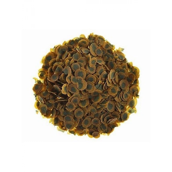 250gr Tetra Pro Algae Yetişkin Akvaryum Yemi