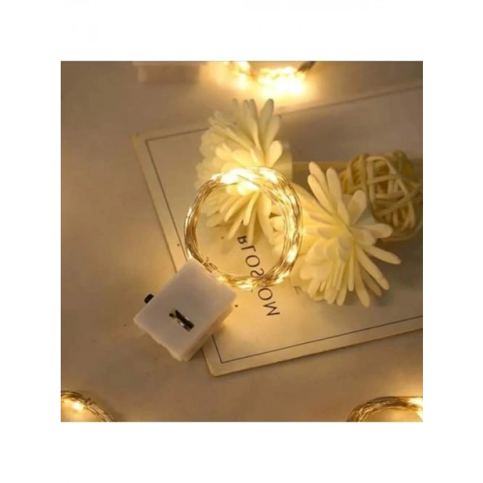 2m Uzun Pilli Peri Led Işık - Gün Işığı