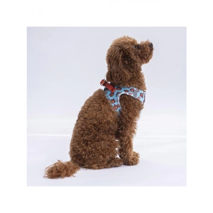 2XS Boyutunda Air-Mesh Köpek Göğüs Tasması