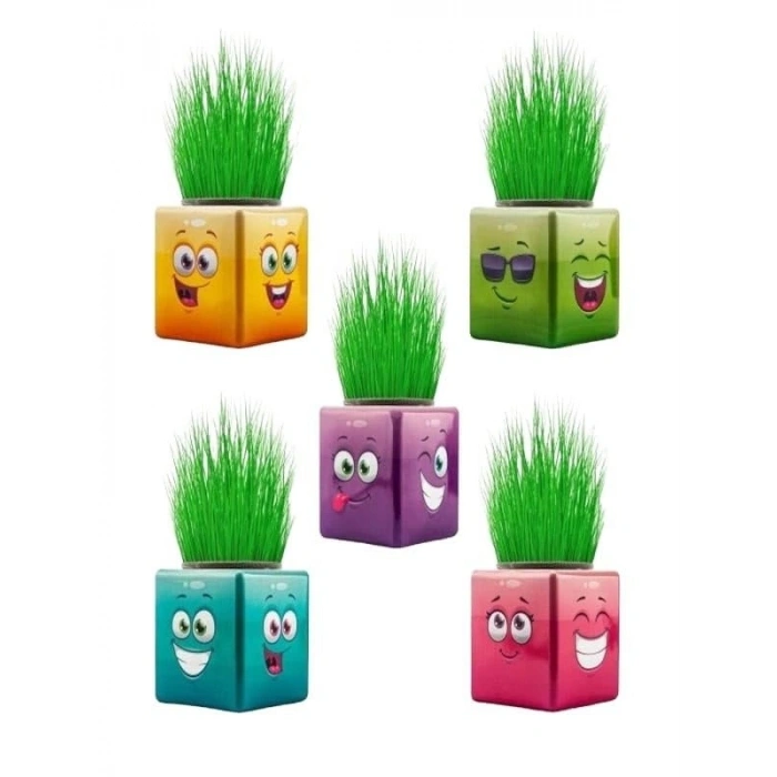 3 Adet Emojili Küp Çim Adam Seti - Okul Öncesi Hediyelik