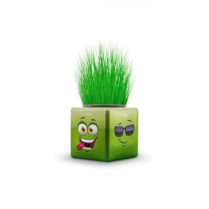 3 Adet Emojili Küp Çim Adam Seti - Okul Öncesi Hediyelik