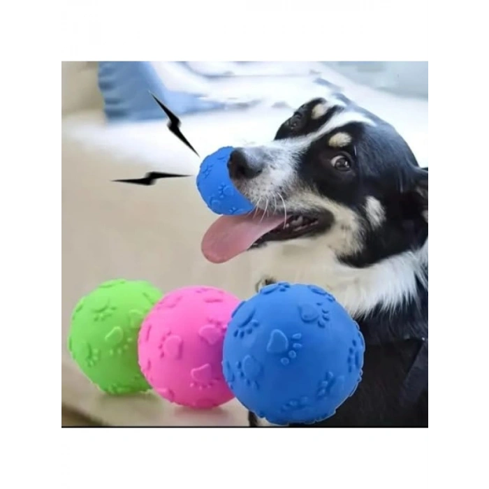 3 Adet Pati Desenli Küçük Boy Köpek Isırma Topu