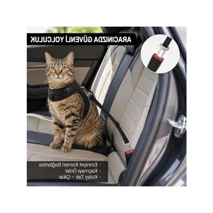 3 Katmanlı Nefes Alabilen Kedi Göğüs Tasma - 3lü Set, Siyah