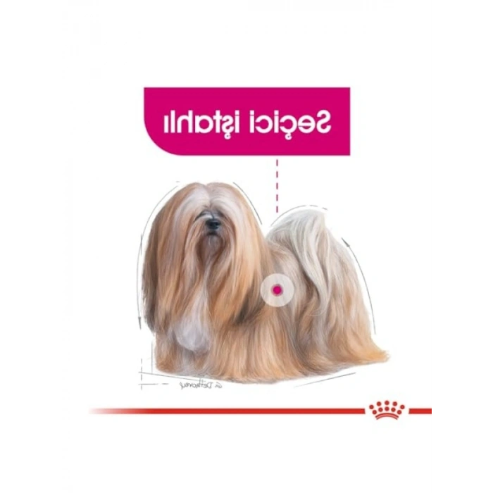 3 Kg Mini Köpek Maması - Dengeli Beslenme İçin
