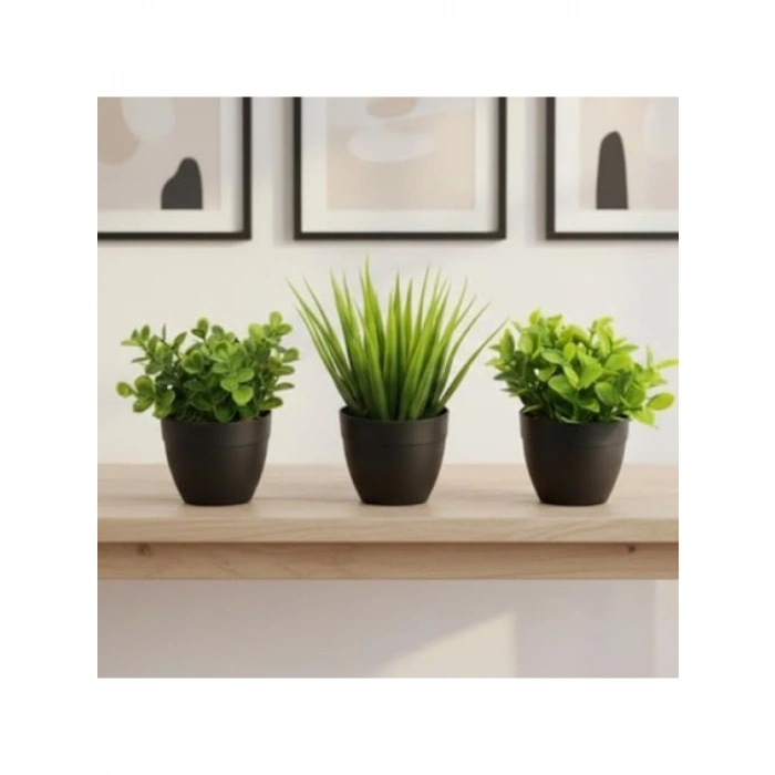 3lü Mini Yapay Sukulent Seti, 8 cm Saksı ile