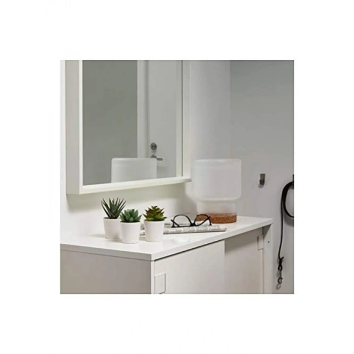 3lü Paket Yapay Saksı Bitkisi - Etli Yapı ve Modern Tasarım