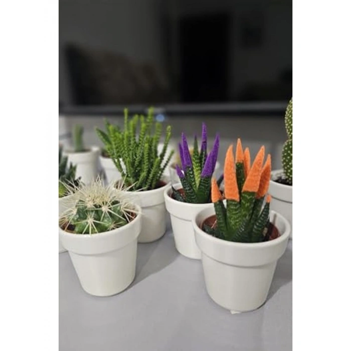 3lü Porselen Kaktüs Saksısı, Krem Renk Seçeneği