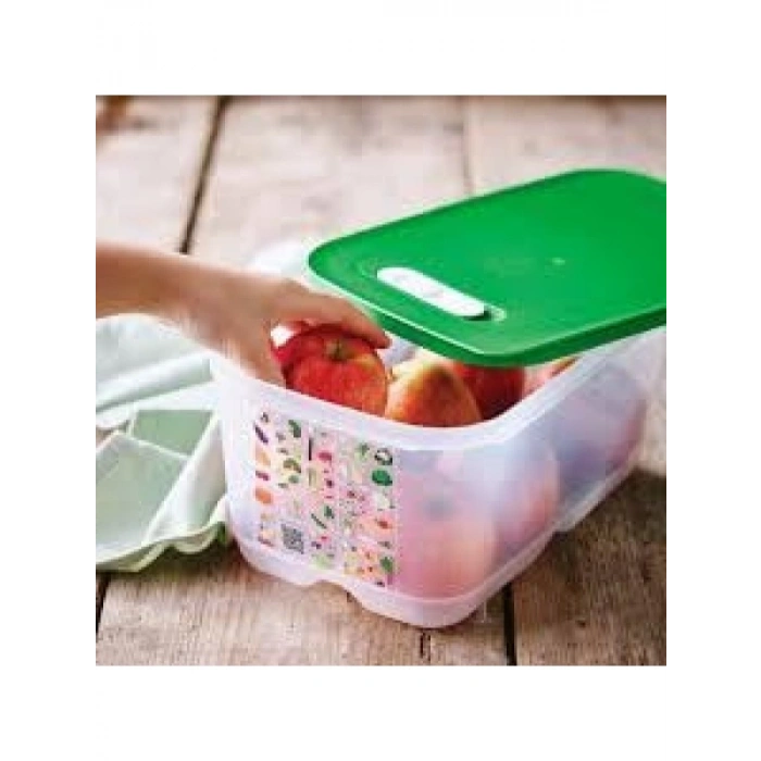 3lü Şeffaf Sera Seti – Kullanışlı ve Pratik