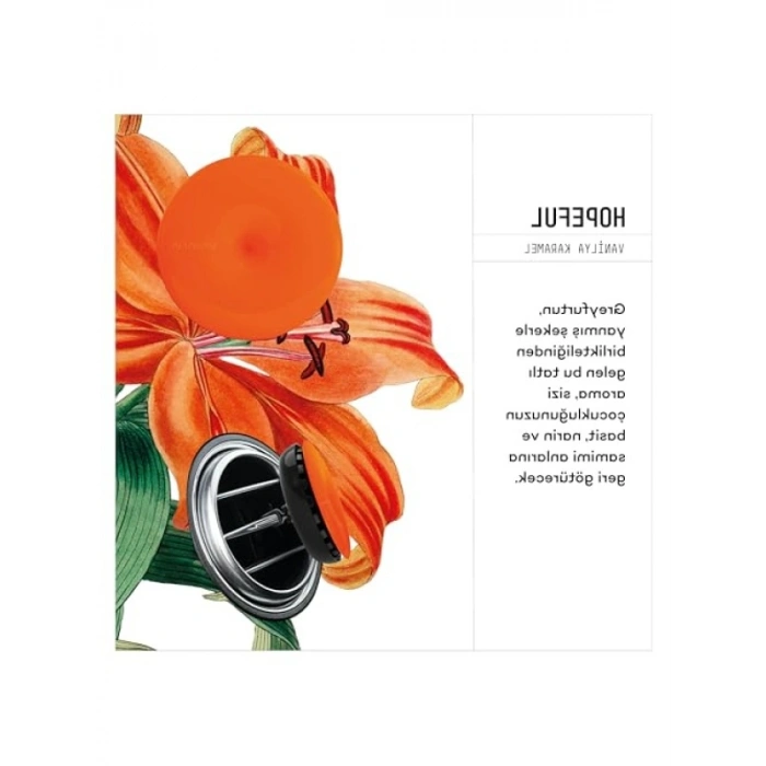 3lü Set Araba Klima Kokusu - Doğal ve Uzun Süreli Ferahlık