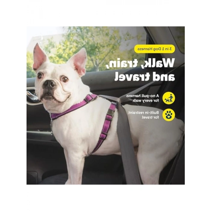 3ü 1 Arada Köpek Koşum Takımı S Beden