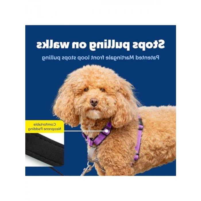 3ü 1 Arada Köpek Koşum Takımı S Beden