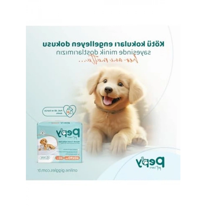 30 Adet Yapışkanlı Tuvalet Eğitim Pedi, Hijyenik Çiş Pedi