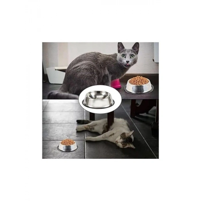 300 ml Paslanmaz Çelik Kedi Mama ve Su Kabı, Kaymaz Tabanlı
