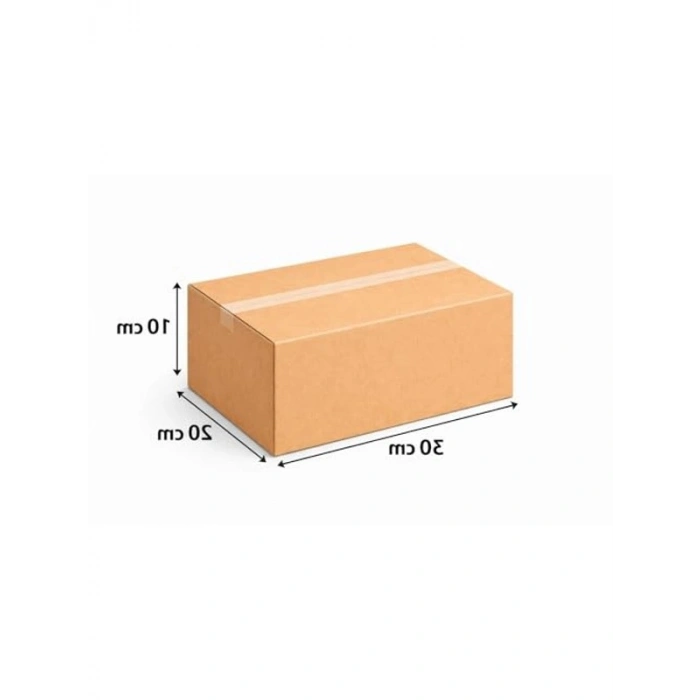 30x20x10 cm Boyutunda Çift Oluklu Taşıma Kutusu, 10 Adet Set