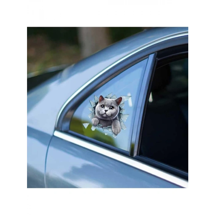 3D Kedi-Köpek Araç Stickeri - Kırık Cam Efekti