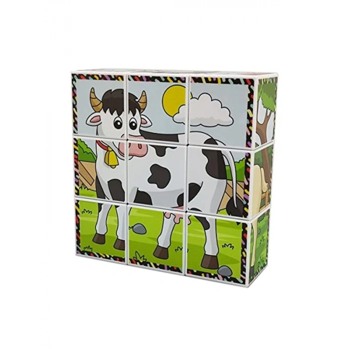 3D Manyetik Puzzle Seti, 9 Mıknatıslı Küp ve 6 Yapboz Parçası