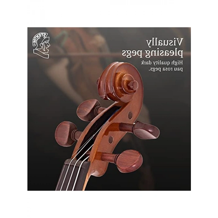4/4 Ölçek Keman, Öğrenciler için Uygun Fiyatlı Set