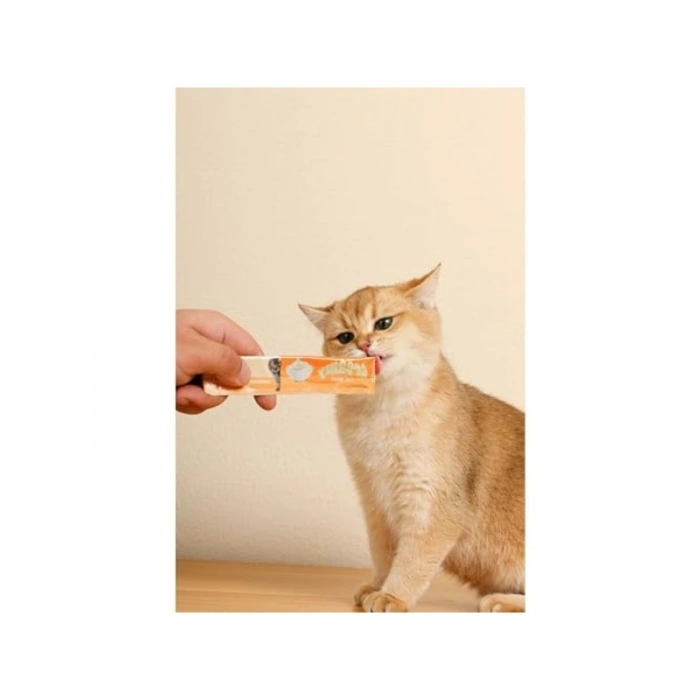 4 Adet 15 Gr Yengeçli Kedi Ödülü