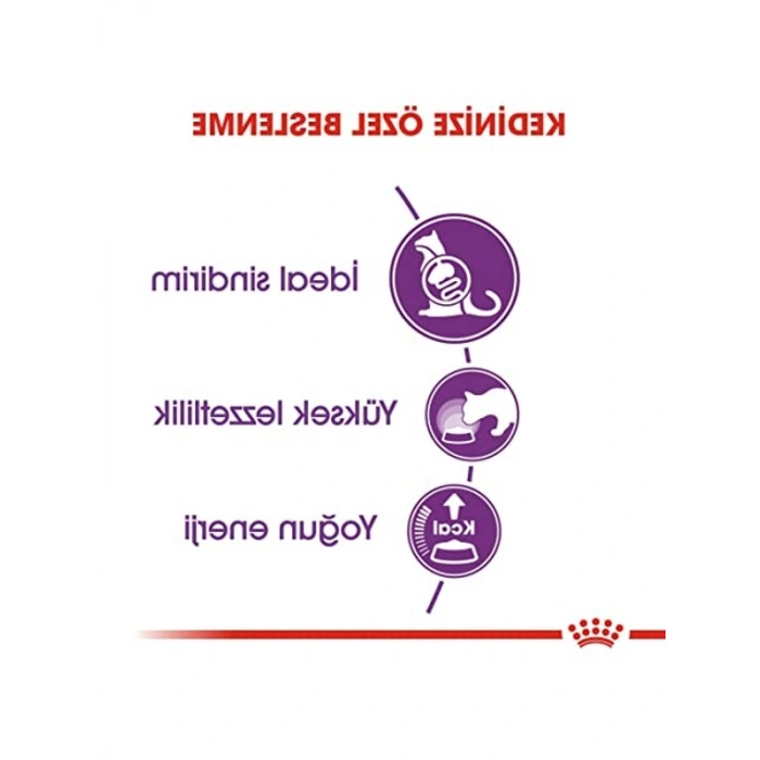 4 kg Hassas Sindirimli Kedi Maması, Sensible 33 Alternatifi