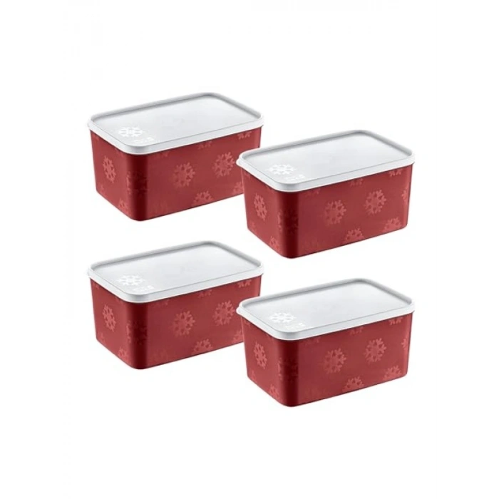 4lü Modüler Saklama Kabı Seti - 2600 ml