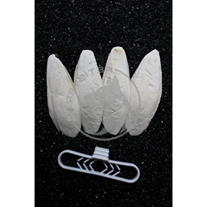 4lü Temizlenmiş Mürekkep Balığı (Kalamar) Kemiği 7-8 cm