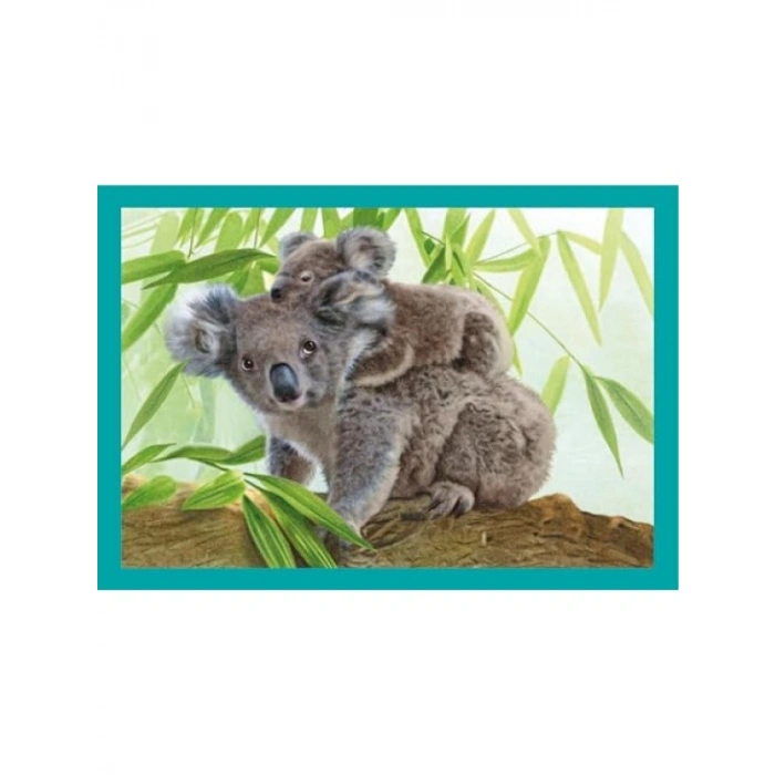 4ü 1 Arada Süper Kolor Bebek Bulmacası - 72 Parça