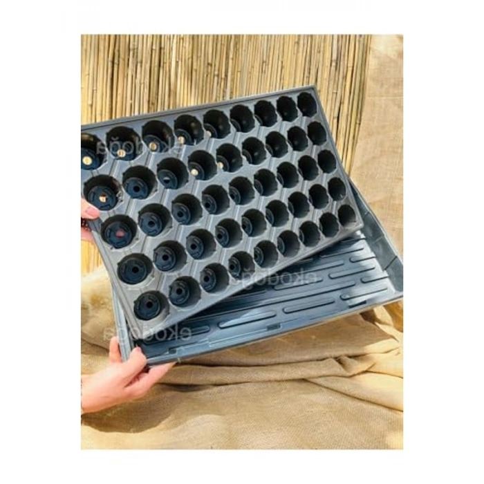 45 Gözlü Fide Viyolü, 5 cm Derinlikte Tepsi ile 2 Adet Set