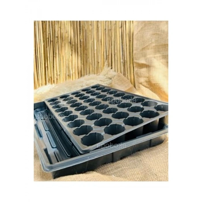 45 Gözlü Fide Viyolü, 5 cm Derinlikte Tepsi ile 2 Adet Set