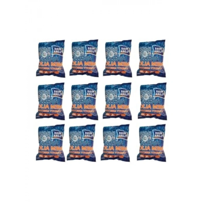 450 Gr Nem Alıcı - 12li Yedek Paket