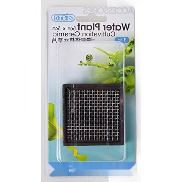 5 cm Kare Seramik Bitki Tabanı