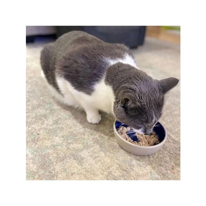 5 İnç Seramik Tabak, Kedi ve Sürüngenler için
