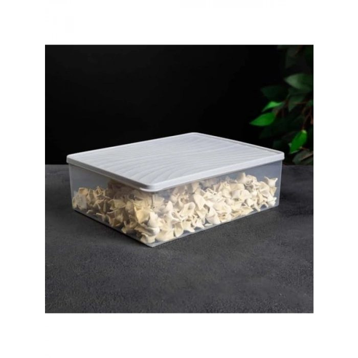 5 L Derin Dondurucu Saklama Kabı