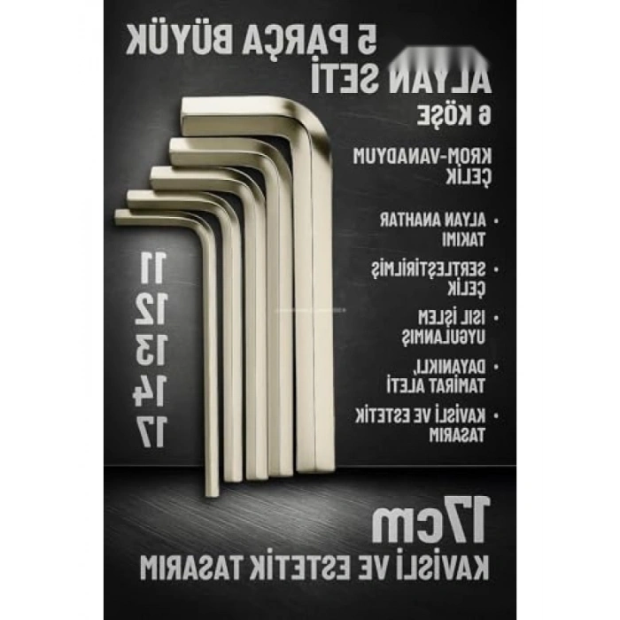 5 Parça Alyan Anahtar Seti, Krom-Vanadyum Çelik, Dayanıklı ve Ergonomik