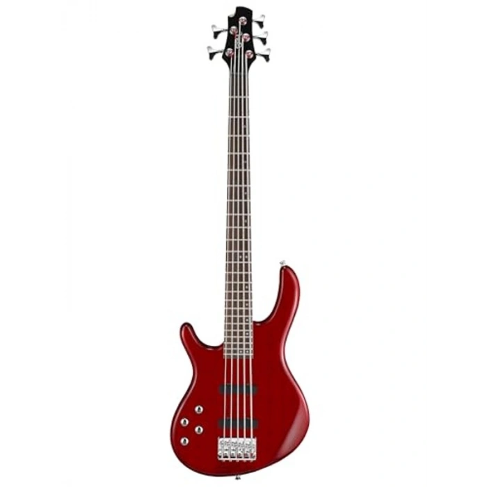 5 Telli Bas Gitar, Kırmızı Renk Seçeneği ile Özel Tasarım