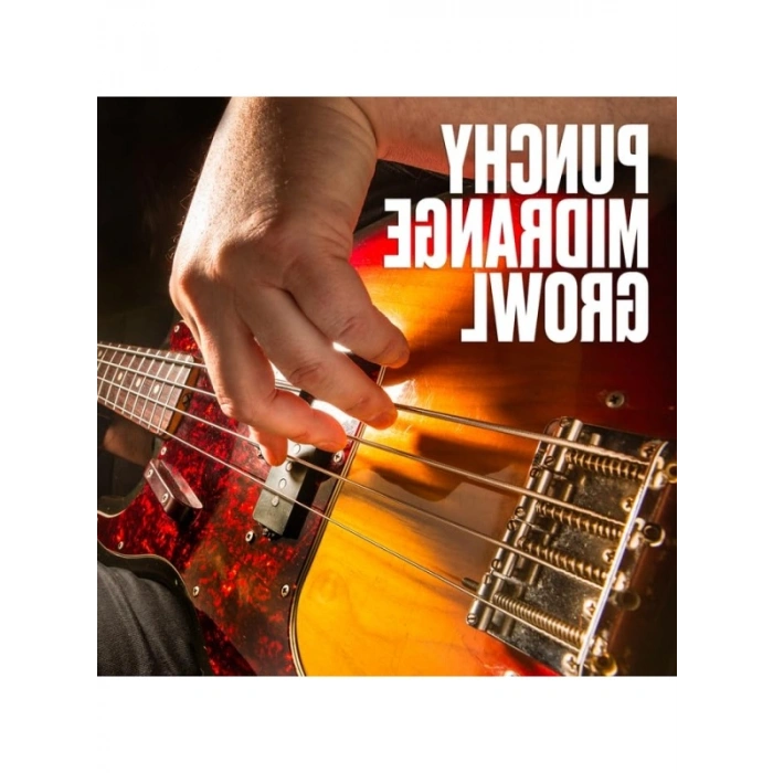 5 Telli Bas Gitar Teli Seti (40-120)