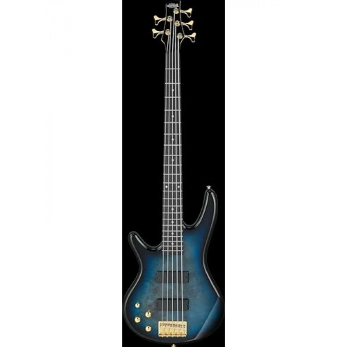 5 Telli Bas Gitar - Yüksek Ses Kalitesi