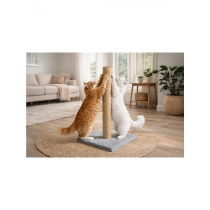 50 cm Kedi Tırmalama Tahtası, Stabil Tabanlı ve Dayanıklı
