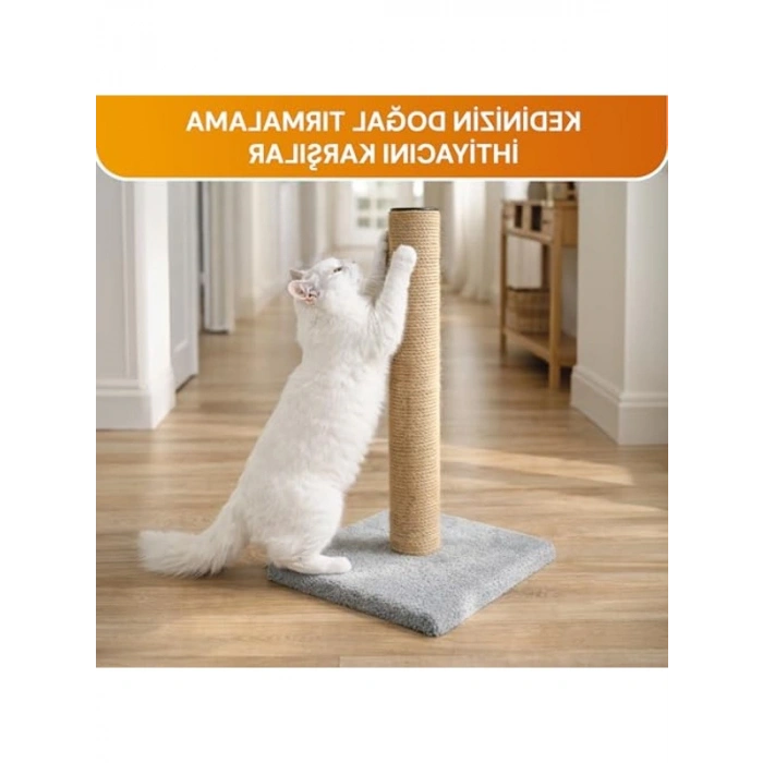 50 cm Kedi Tırmalama Tahtası, Stabil Tabanlı ve Dayanıklı