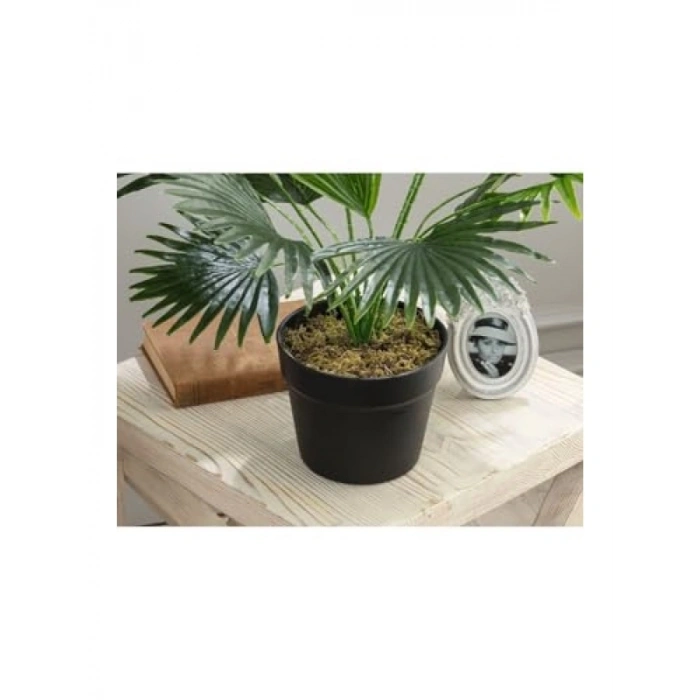 50 cm Yükseklikte Saksılı Yapay Bitki