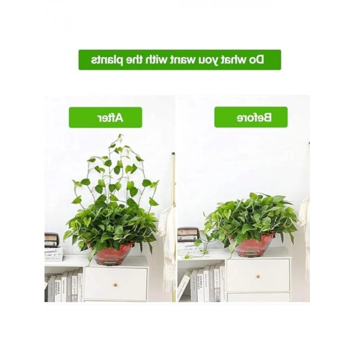 50 Parça Şeffaf Bitki Sabitleme Klipsi, Pratik Yapışkanlı Tasarım