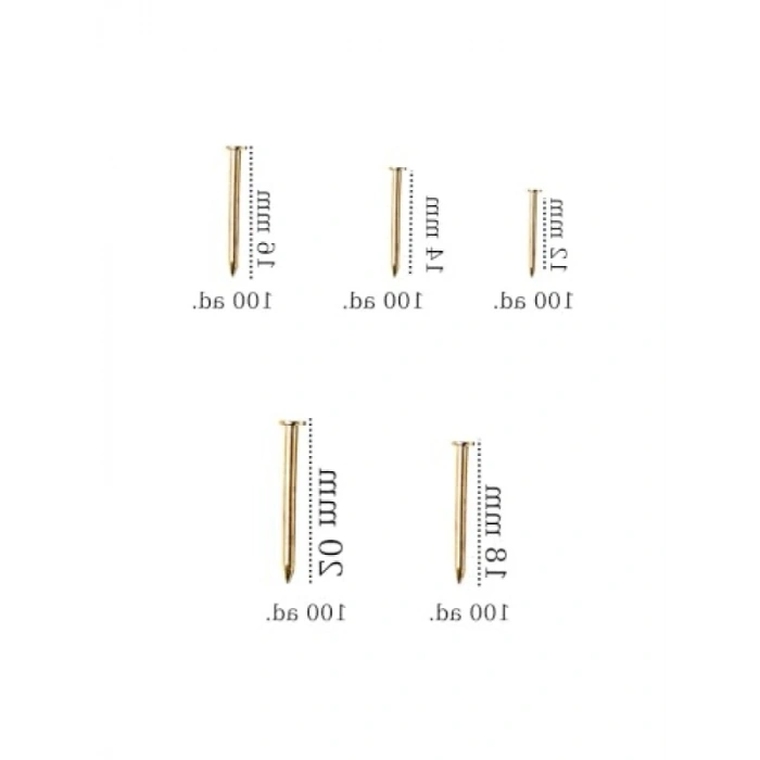 500 Adet Nikel Kaplı Dekoratif Ahşap Çivi Seti - 5 Çeşit