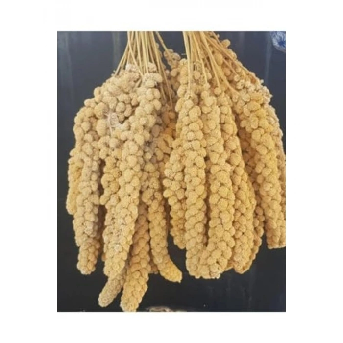 500 g ak dal darı, kuşlar için besleyici yem
