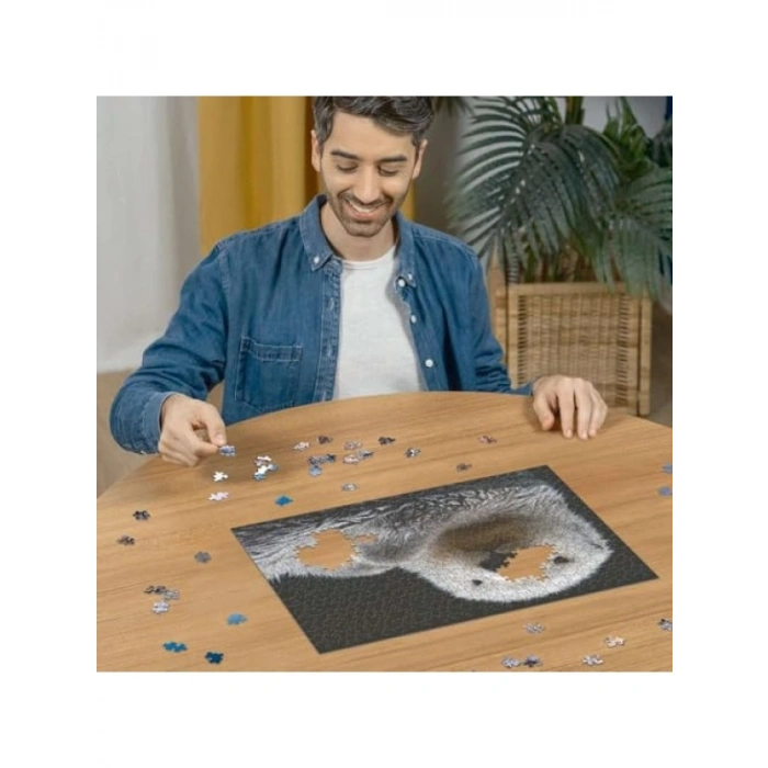500 Parçalı Su Samuru Temalı Puzzle