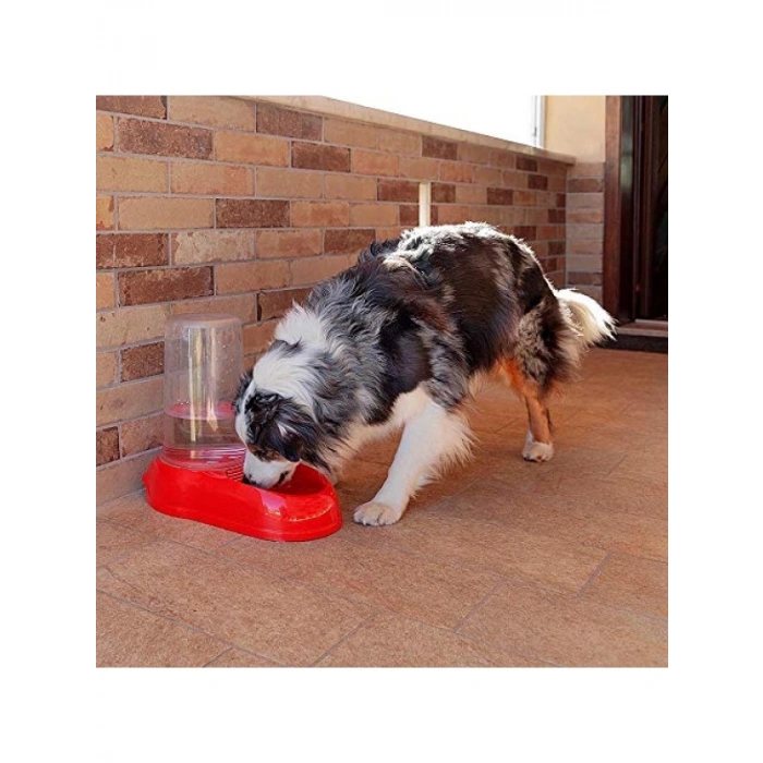 5,5 Lt Kapasiteye Sahip Kırmızı Mama ve Su Kabı