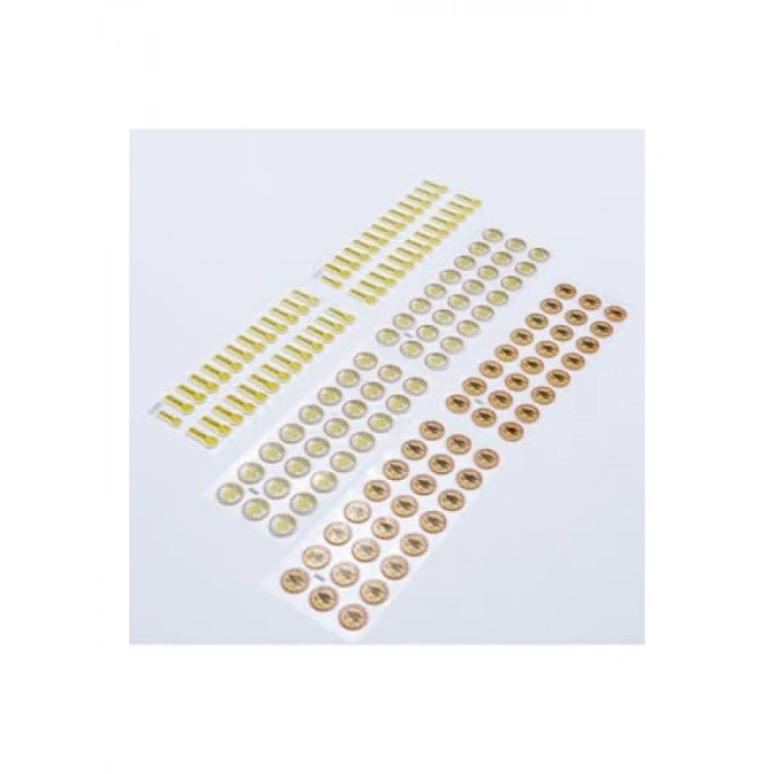 6 Adet Başarılı Öğrenci Kabartmalı Yapışkan Sticker