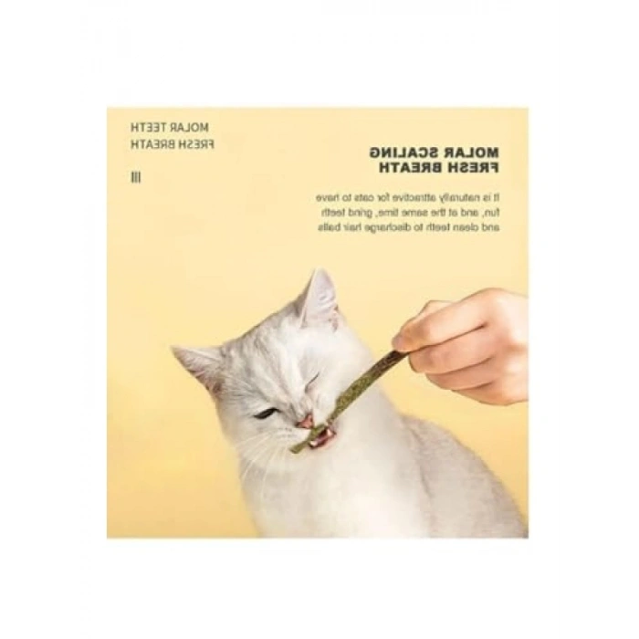 6 Adet Doğal Meyve Aromalı Matatabi Çubuğu