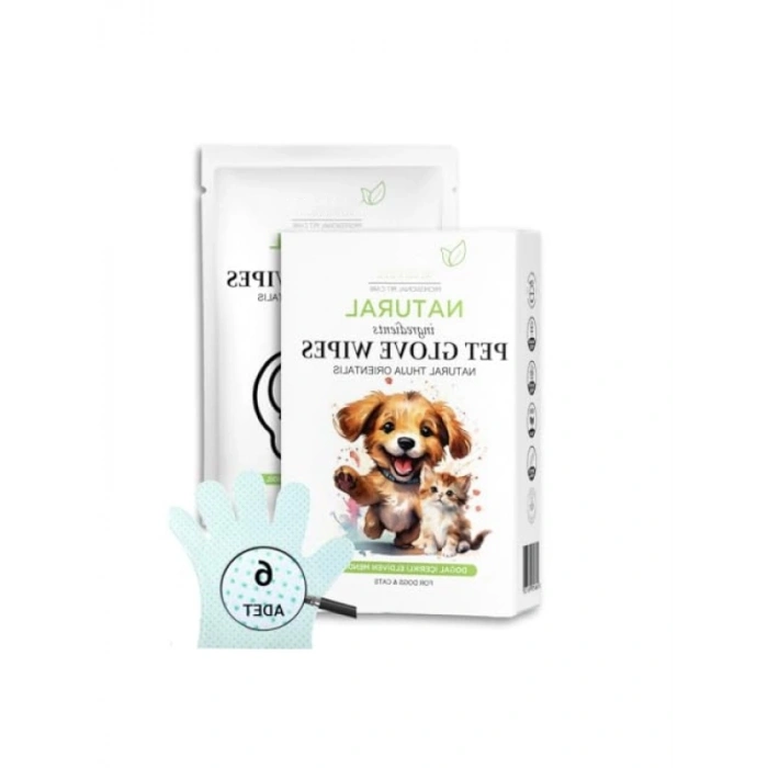 6 Adet Tek Kullanımlık Eldiven Mendil Seti