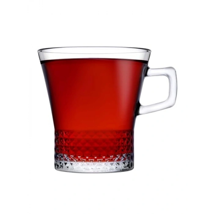 6lı Kulplu Fincan Seti 250 cc