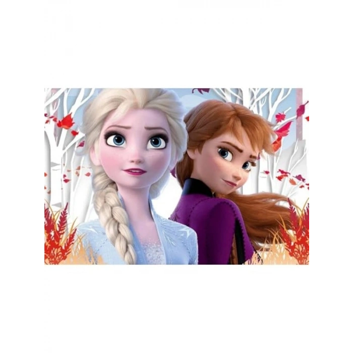 60 Adet Karlar Ülkesi Temalı Renkli Kart Seti